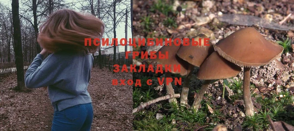 тгк Аркадак