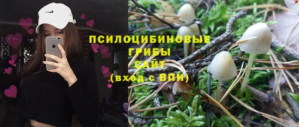 соль ск Арсеньев