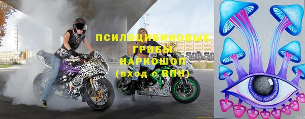 соль ск Арсеньев