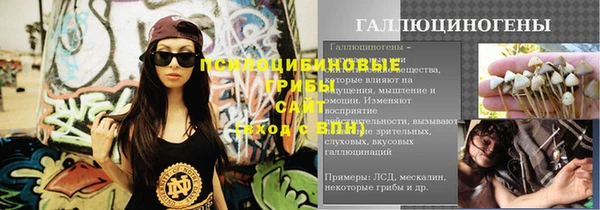 тгк Аркадак